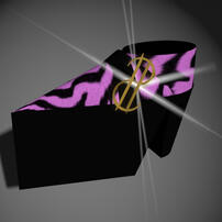 presidential platform