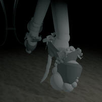shoe detail